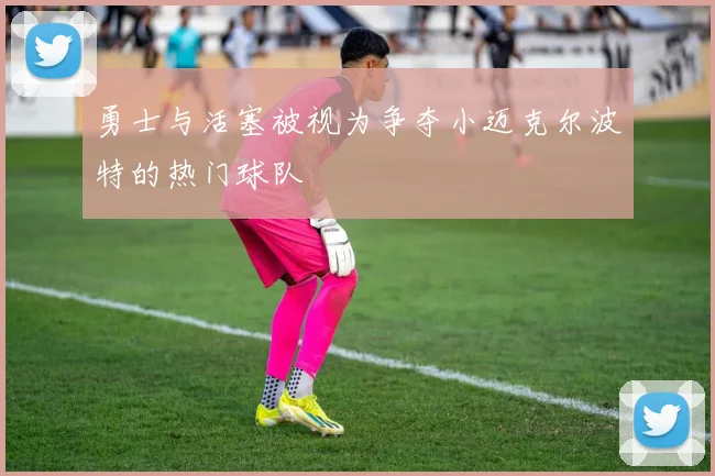 勇士与活塞被视为争夺小迈克尔波特的热门球队